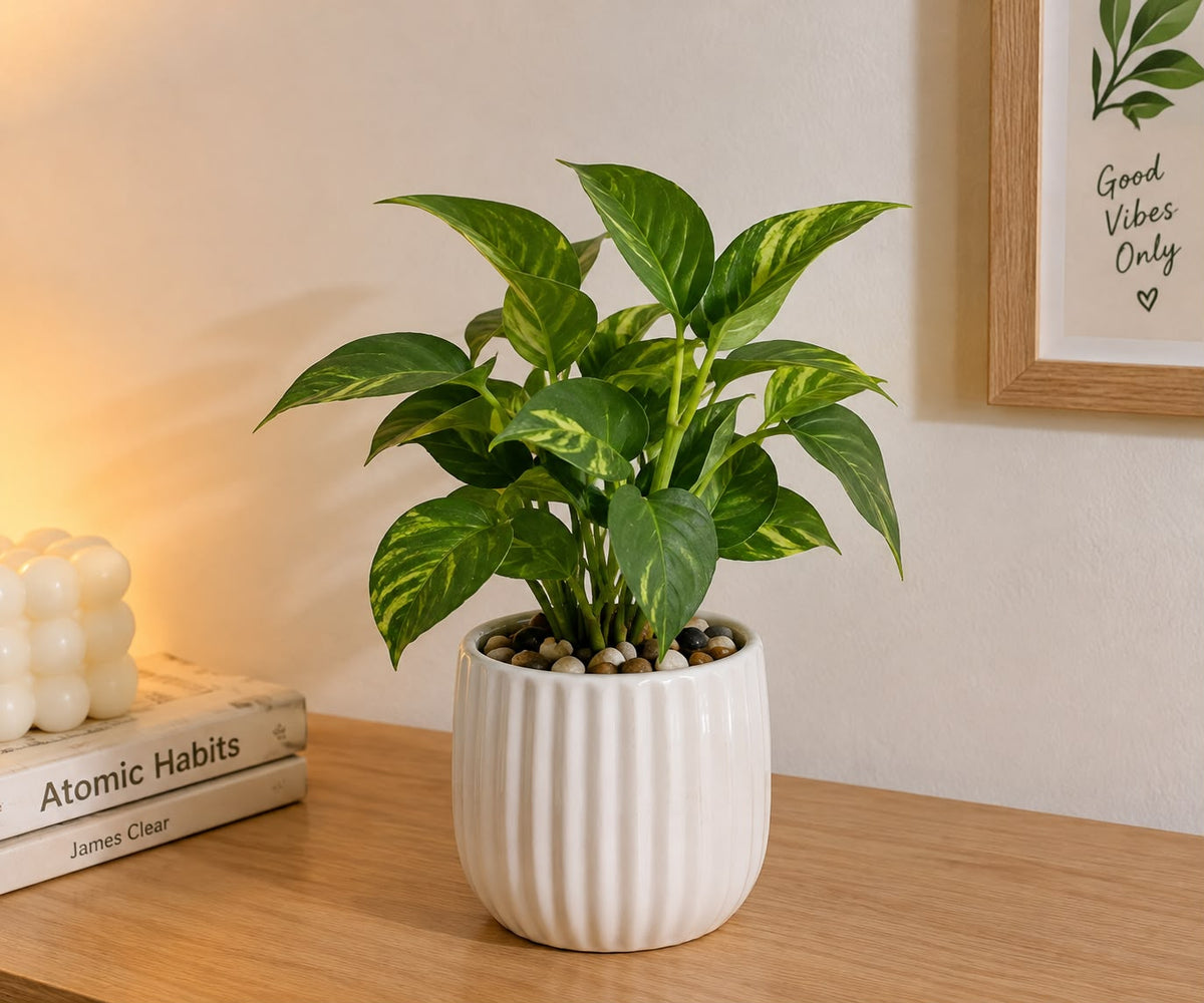 Mini Artificial Plant
