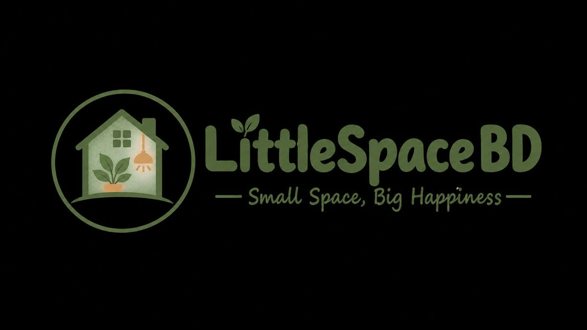 Little Space BD